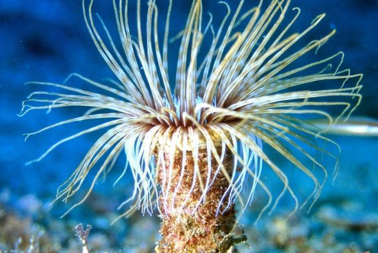 Assises Jeunes Méditerranée