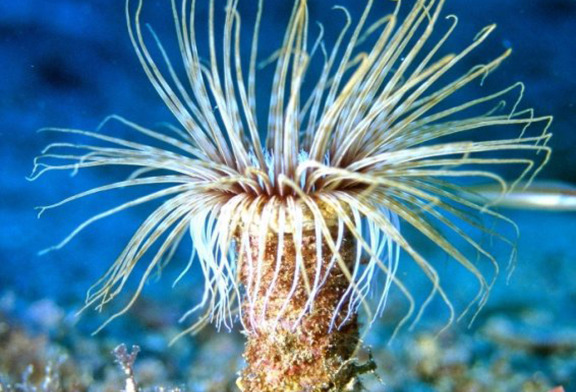 Assises Jeunes Méditerranée