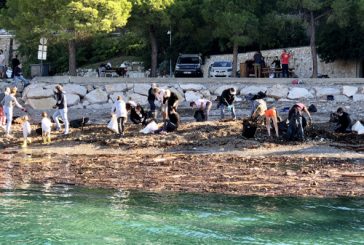 Magnifique élan de solidarité ce matin pour le grand nettoyage des plages : Rochambeau, La Darse, Les Marinières.
