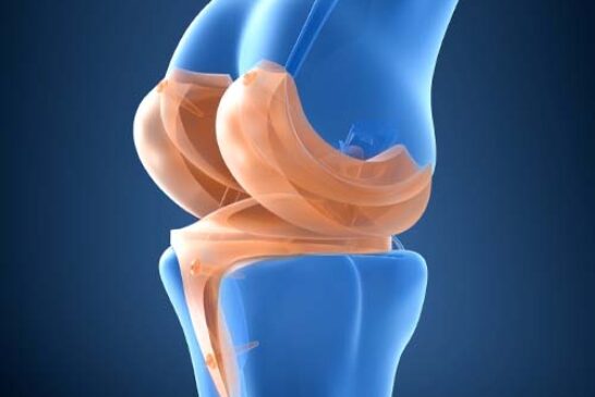 6èmes journées de printemps SFHG à Villefranche-sur-Mer