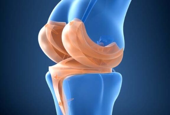 6èmes journées de printemps SFHG à Villefranche-sur-Mer