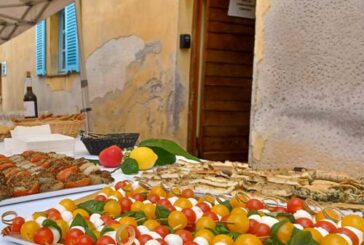 Les nouveaux arrivants à Villefranche - Edition 2022