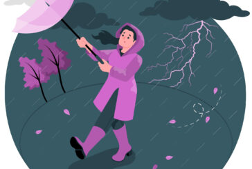 Dispositifs d'indemnisation mobilisables