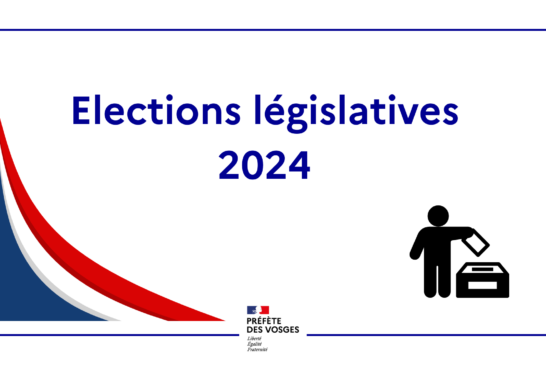 Retrouvez le décret n°2024-527 du 9 juin 2024 portant convocation des électeurs pour l'élection des députés à l'Assemblée nationale et la liste des candidats par circonscription.