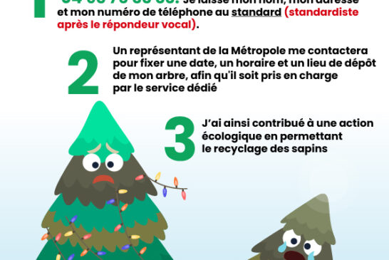 Collecte des sapins