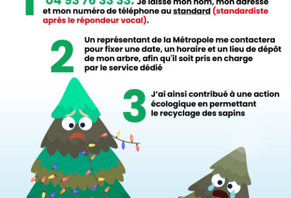 Collecte des sapins