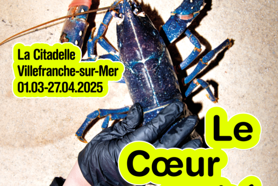 Exposition Caimi et Piccinni à La Citadelle