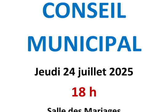 Prochain conseil municipal : le 24 juillet