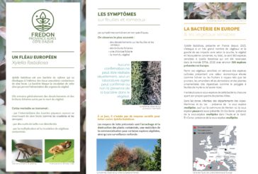 Intervention de contrôle phytosanitaire – Août 2025