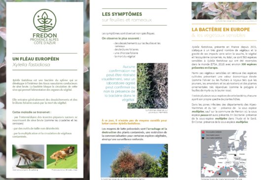 Intervention de contrôle phytosanitaire – Août 2025